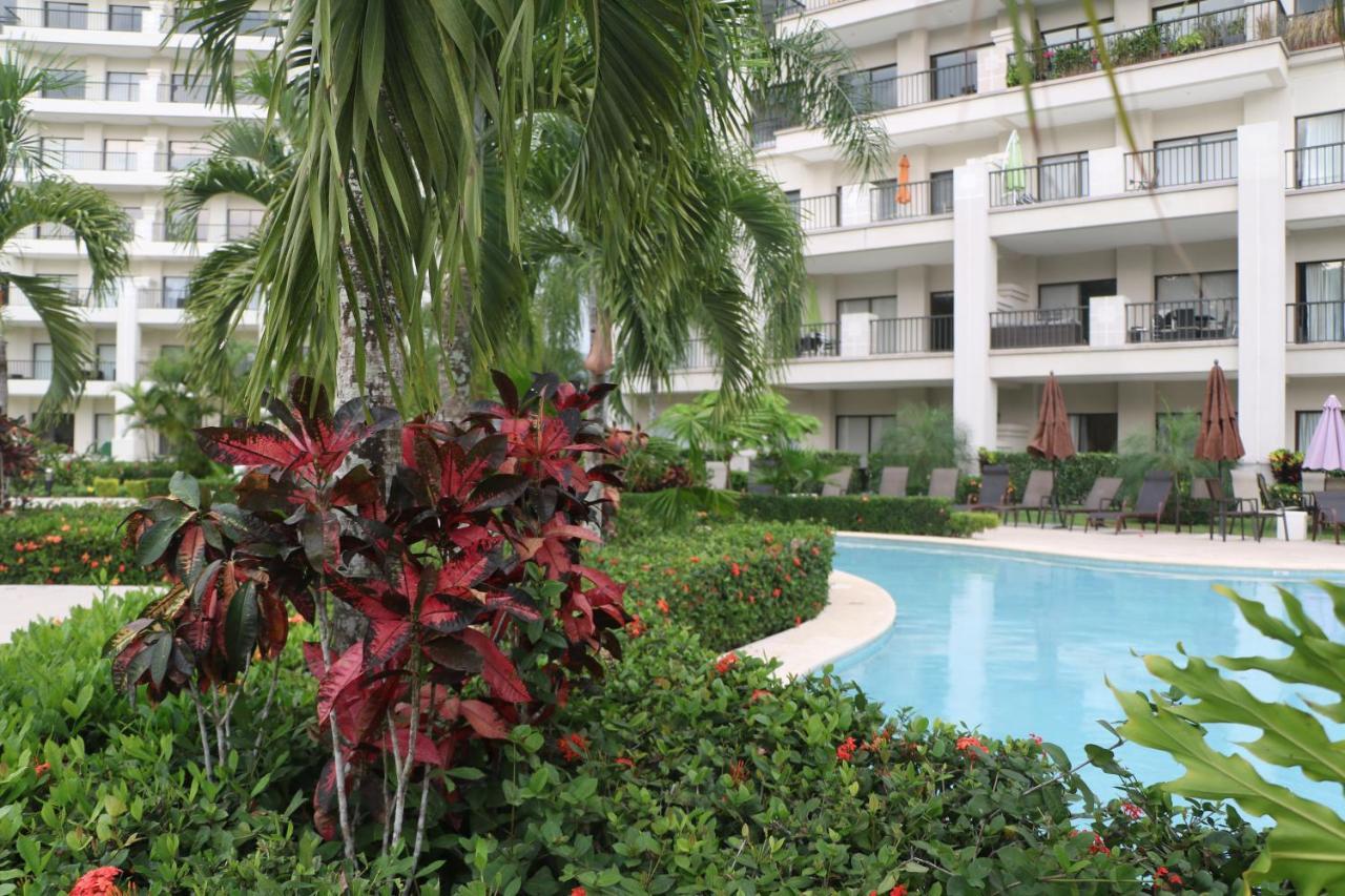 Apartamento Amaluc Zac Jacó Exterior foto